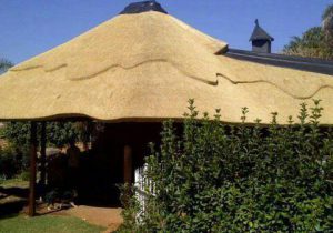 42044411_2056826411023593_8587346290088607744_n