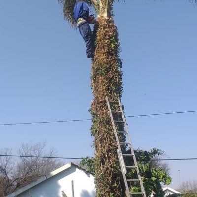 4809b60b-e8fb-43f6-bb38-4d169577f715