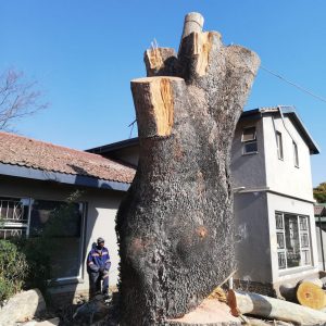 4cd60c9a-c8d0-4c08-8e6d-6dd927bbb137